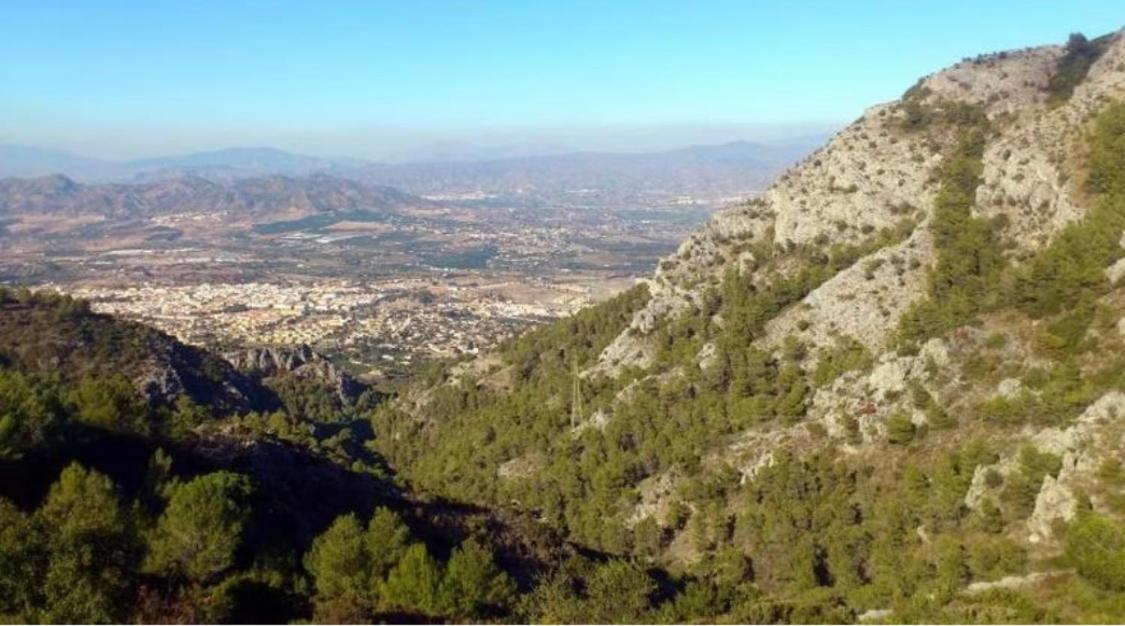 Apartamento Biznaga Alhaurín de la Torre Esterno foto